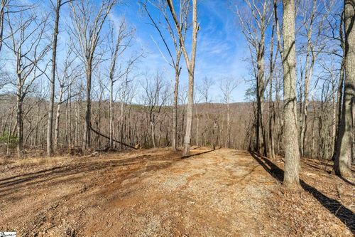 314 Mountain Lake Ln, Travelers Rest, SC, 29690-7734 | Card Image