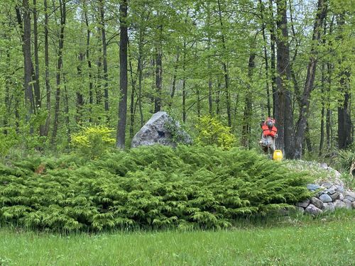 17 Bear Track Ln Ne, Longville, MN, 56655 | Card Image