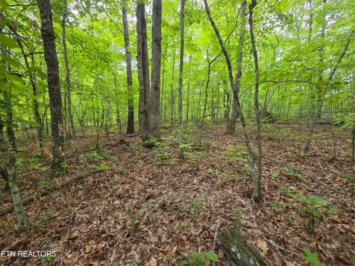2 Cumberland Lakes Dr, Monterey, TN, 38574 | Card Image