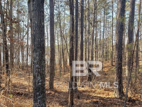 0 Stillwater Ln, Double Springs, AL, 35553 | Card Image