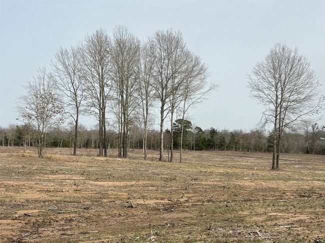 TRACT-2 - TBD County Road 2425, Home with 0 bedrooms, 0 bathrooms and null parking in Como TX | Image 7