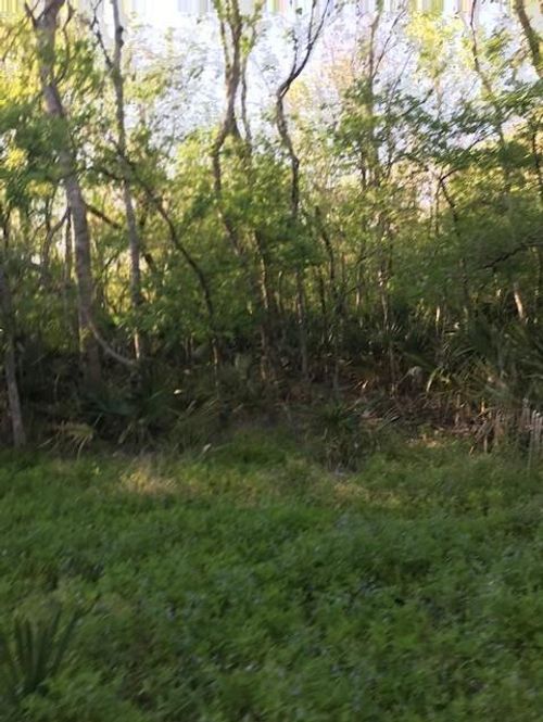 0 Live Oak, Van Vleck, TX, 77482 | Card Image