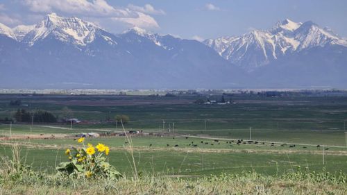 44549 Turnquist Rd, Ronan, MT, 59864 | Card Image
