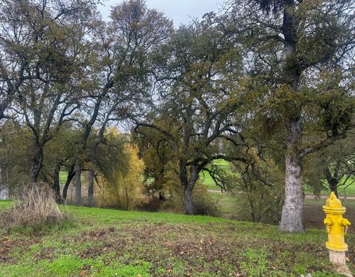 2063 Greenbriar Rd, Valley Springs, CA, 95252-9376 | Card Image