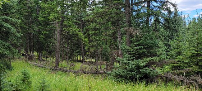 1720 Coon Hollow Rd, Home with 0 bedrooms, 0 bathrooms and null parking in Kila MT | Image 12