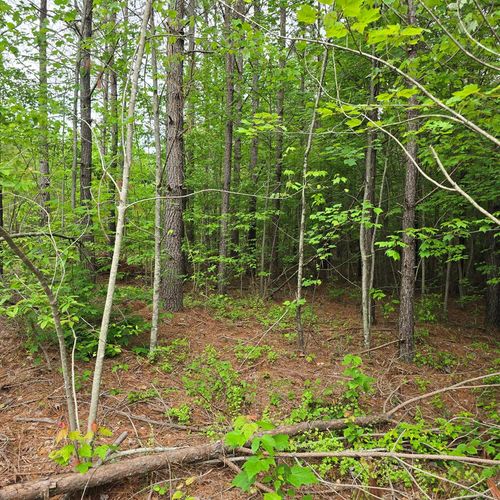 Lot 14 Holly Woods, Robbins, TN, 38562 | Card Image