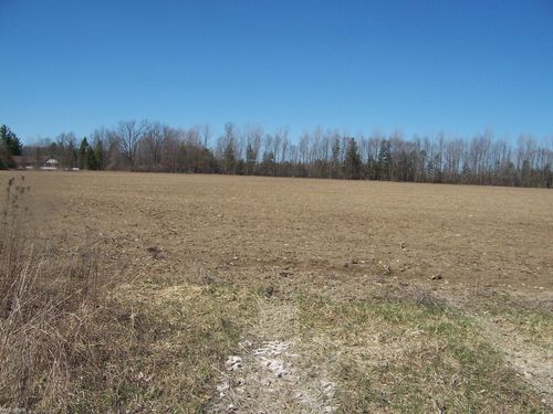 Lot 4 Beard Rd Road, Kenockee Township, MI, 48006 | Card Image