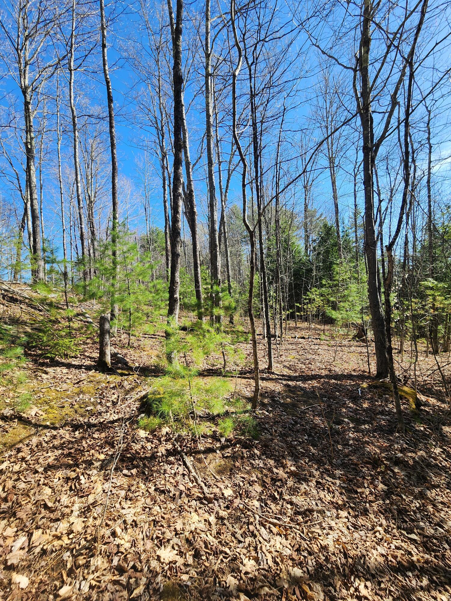 Land in Norridgewock 3