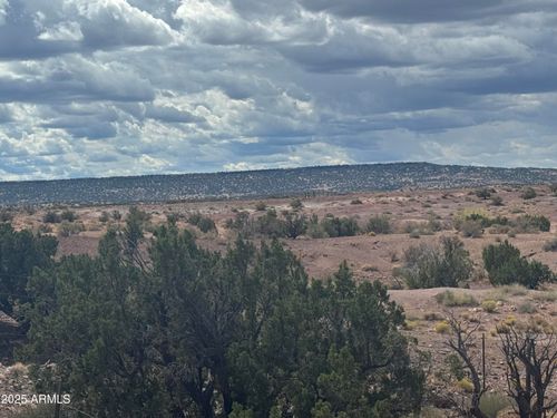 59-59 River Springs Ranch --, St Johns, AZ, 85936 | Card Image