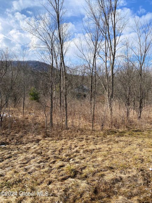 890 Altamont Rd, Altamont, NY, 12009 | Card Image