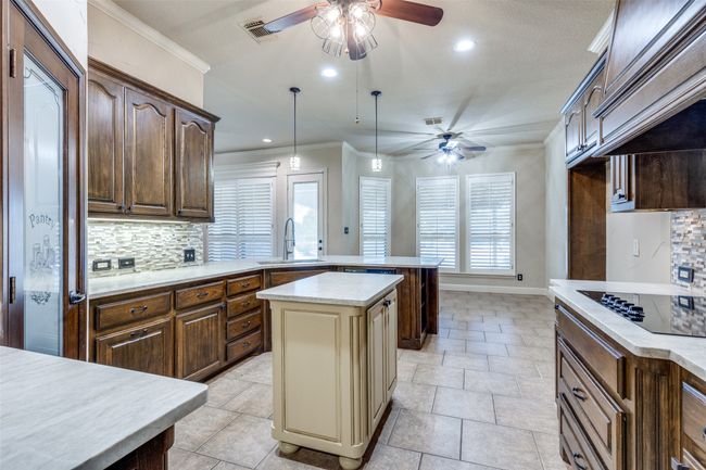 1201 Rollie Michael Ln, House other with 3 bedrooms, 3 bathrooms and null parking in Fort Worth TX | Image 11