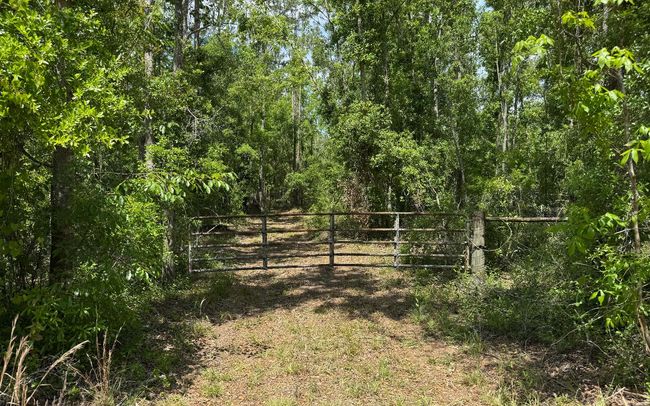 TBD 172 Nd Trce, Home with 0 bedrooms, 0 bathrooms and null parking in LIVE OAK FL | Image 7