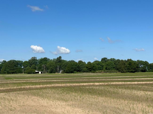 0 Ukena Rd, Home with 0 bedrooms, 0 bathrooms and null parking in Weiner AR | Image 26