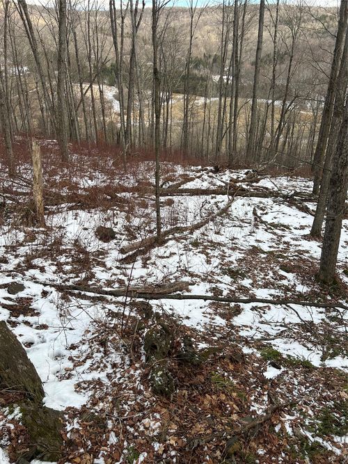 58 Kelly Corners-Denver-Vega Road, Middletown, NY, 12445 | Card Image