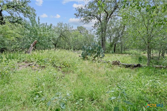 3597 Baker Rd, Home with 0 bedrooms, 0 bathrooms and null parking in Kingsbury TX | Image 10