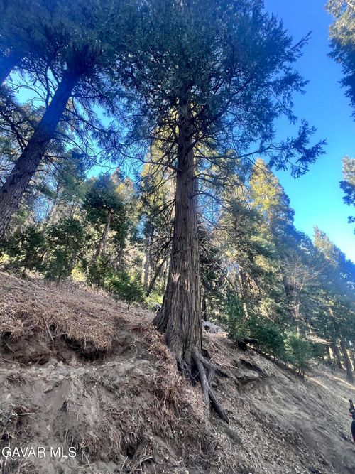 0 Reservoir Rd, Cedarpines Park, CA, 92322 | Card Image