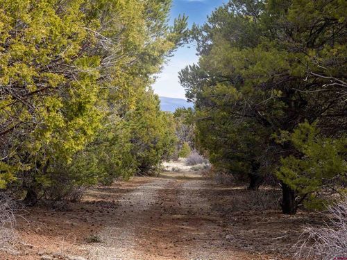 TBD 43zs Rd, Norwood, CO, 81423 | Card Image