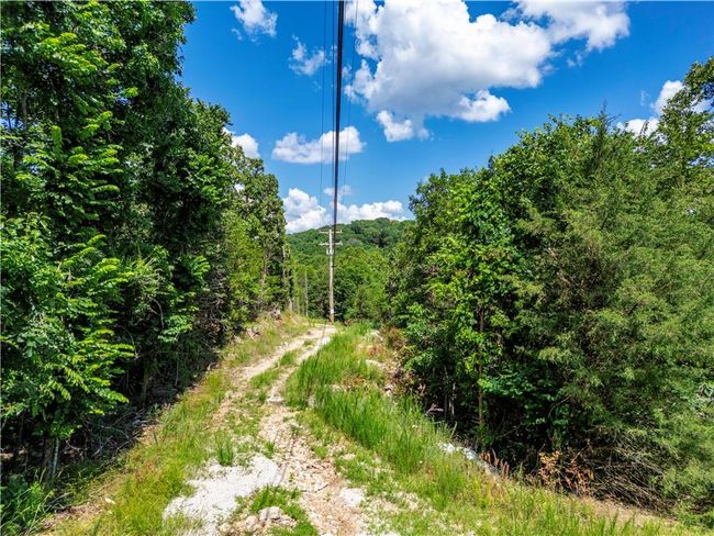 View of woods | Image 4