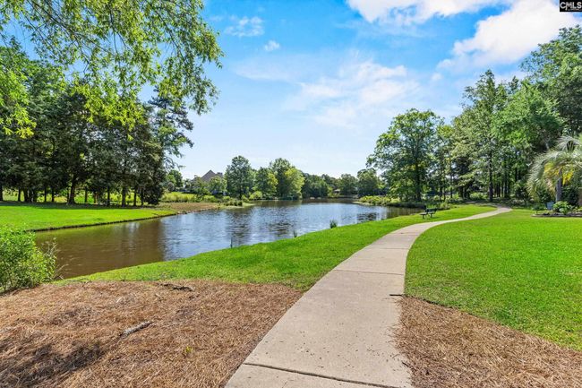 846 Village Well Ct, House other with 6 bedrooms, 5 bathrooms and null parking in Chapin SC | Image 57