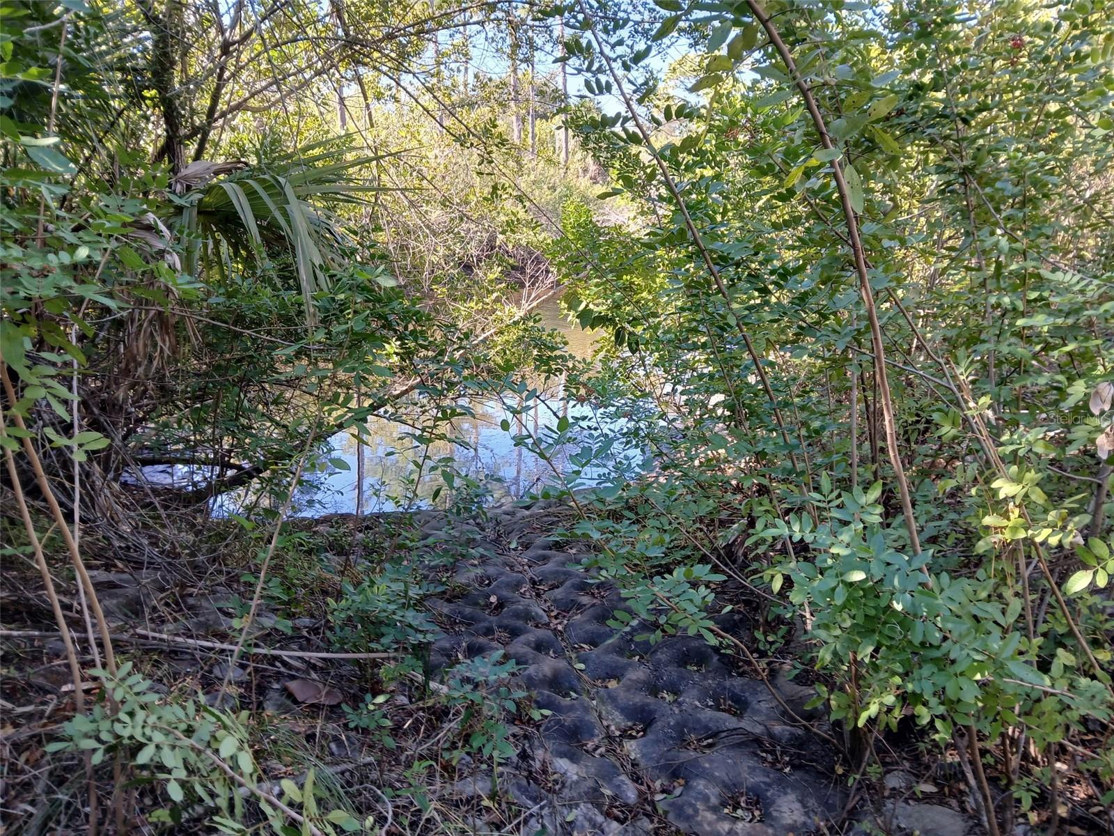 Land in PORT CHARLOTTE 5