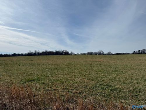 40 ac County Road 131, Bryant, AL, 35958 | Card Image