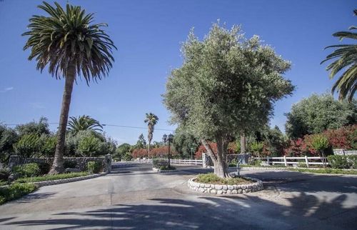 17711 Cole Ranch Dr, Springville, CA, 93265-9375 | Card Image