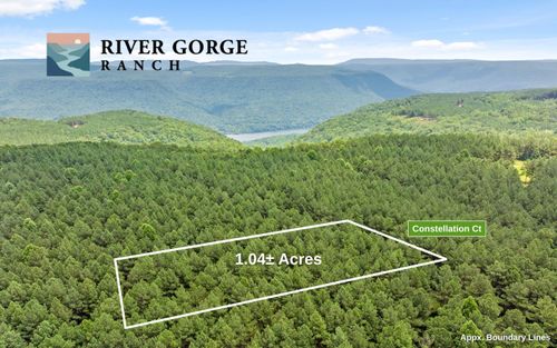 2045 Constellation Ct, Guild, TN, 37340 | Card Image