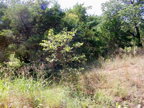 11651 Troutt Dr, Guthrie, OK, 73044-8124 | Card Image