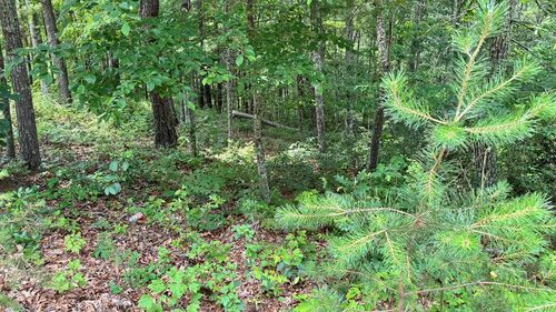 Lot 48 Honey Maple Trl, Austinville, VA, 24312 | Card Image