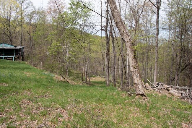 View of yard featuring a wooded view | Image 9