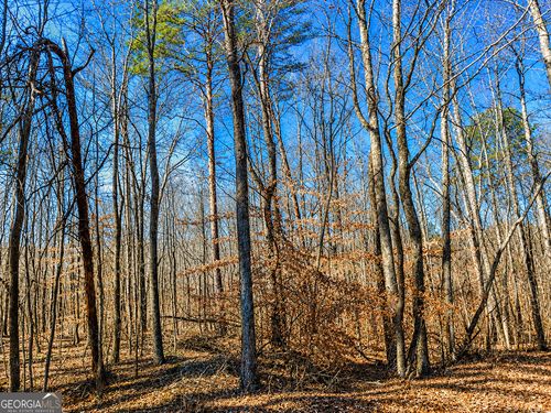 2 ACRES Acerose Dr, Jasper, GA, 30143-6270 | Card Image