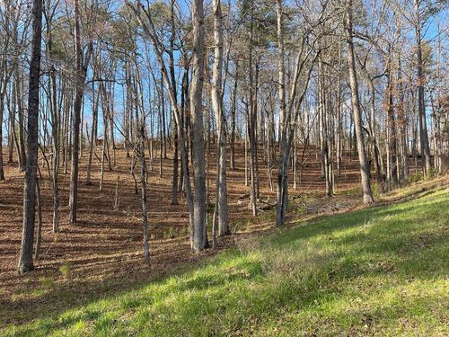 Lot# 208 Pinnacle Dr, Ellijay, GA, 30540 | Card Image