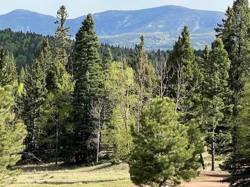 1023 Starshine Overlook, Angel Fire, NM, 87710 | Card Image