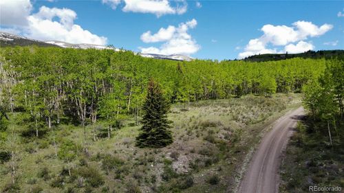 63 Pine Ridge Rd, Fairplay, CO, 80440 | Card Image