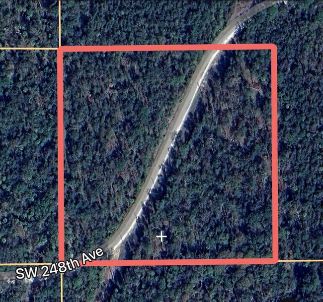 915 Sw 248th Ave, Home with 0 bedrooms, 0 bathrooms and null parking in Steinhatchee FL | Image 5