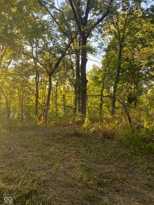 00 N State Road 75, North Salem, IN, 46165 | Card Image