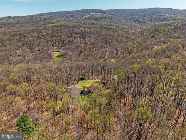 460 Solitude Ln, House other with 4 bedrooms, 5 bathrooms and null parking in Boyce VA | Image 89