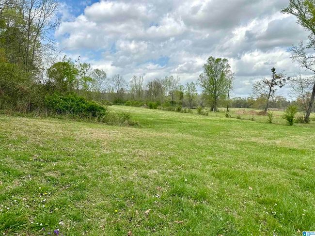 12325 Us Highway 411 N, House other with 3 bedrooms, 3 bathrooms and null parking in Centre AL | Image 48