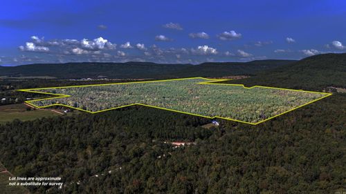 000 County Road 4200, Clarksville, AR, 72830 | Card Image