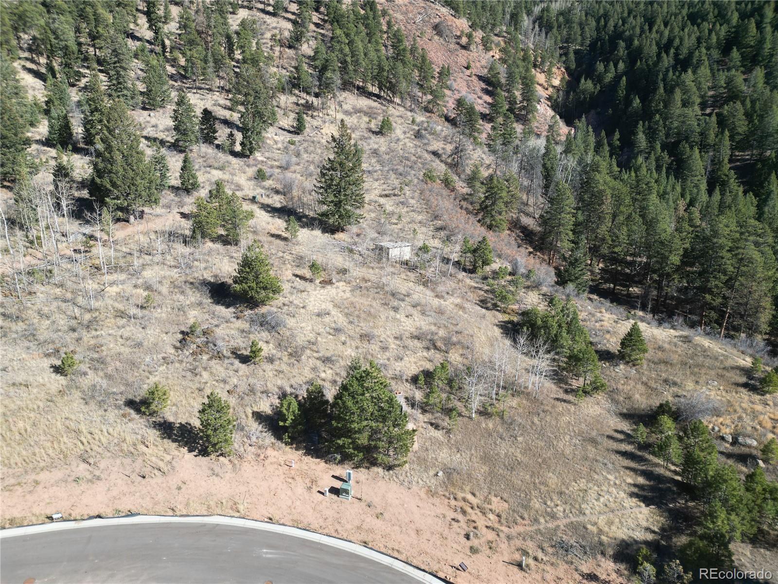 Land in Woodland Park