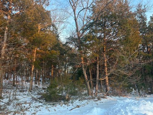 Lot 24 Spring Court, Branson, MO, 65616 | Card Image