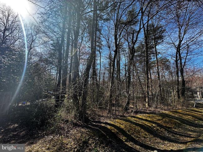 4500 Lakeview Pkwy, Home with 0 bedrooms, 0 bathrooms and null parking in Locust Grove VA | Image 8
