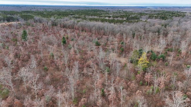 3726 N Custer Rd, Home with 0 bedrooms, 0 bathrooms and null parking in Manistee MI | Image 10