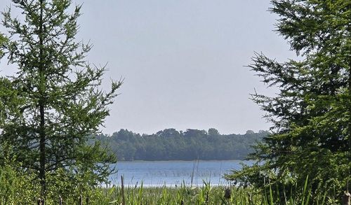 5136 Basswood Ln Ne, Bemidji, MN, 56601-4646 | Card Image