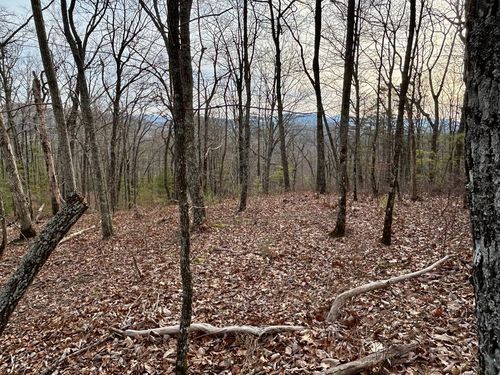 Lot 25 Mission Ridge Dr, Hayesville, NC, 28904-8411 | Card Image