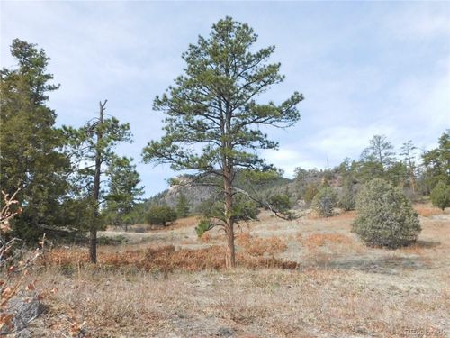7700 Seminole Dr, Larkspur, CO, 80118 | Card Image