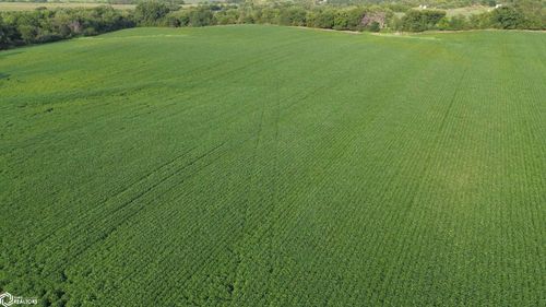 109 Acres 200th Avenue, Moravia, IA, 52571 | Card Image