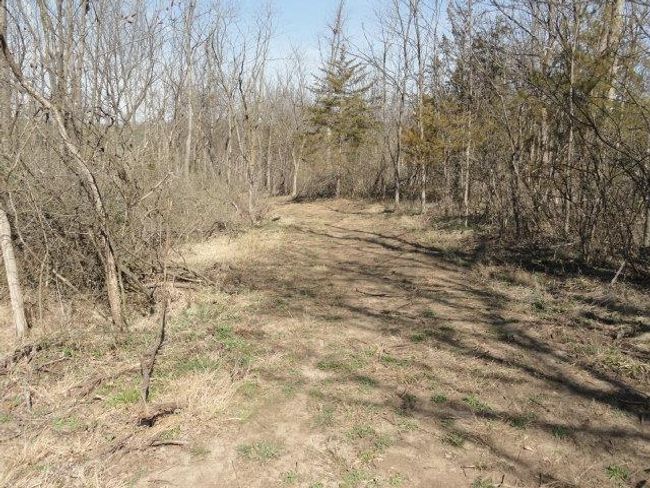 10.45 Acres Ringhand Rd, Home with 0 bedrooms, 0 bathrooms and null parking in SYLVESTER WI | Image 30