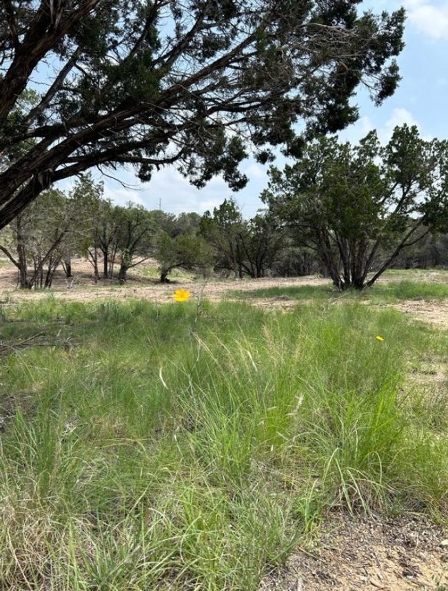 00 Old Red Ranch Rd, Home with 0 bedrooms, 0 bathrooms and null parking in Dripping Springs TX | Image 6