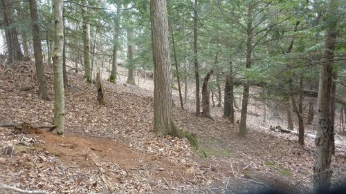 00 Old State Rd, Frankfort, MI, 49635 | Card Image